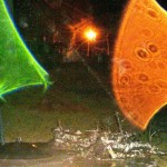 Colorado Man Photographs Flying Jellyfish-Like ‘Critters’