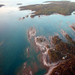 ‘Massive Winged Creature’ Photographed in Canada