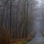 Terrified New Yorker Loses Expensive Equipment After Seeing ‘Bigfoot’