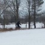 Intensive-Care Nurse Photographs ‘Bigfoot’ in Ohio Field
