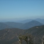 Australian Researcher Records ‘Yowie’s Voice’