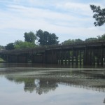 Texan Says Grandparents Came across Reptilian Creature