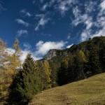 Man Captures ‘Bigfoot’ on Camera in West Virginia Mountain