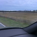 Multiple Witnesses Record Orange UFO in North Carolina