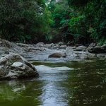 Two People See ‘Bigfoot’ in Western Ohio