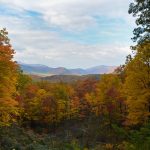 Teacher Spots ‘Thunderbird’ in Tennessee