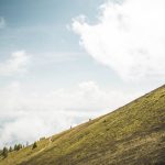 New Yorker Claims Bigfoot Encounter