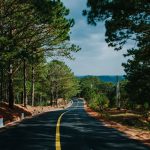 ‘Pterodactyl’ Sighting in Wisconsin