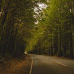 Virginia Couple Claim Bigfoot Sighting