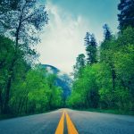 Retired Policeman and Family Claim Seeing ‘Bigfoot’ in Wisconsin